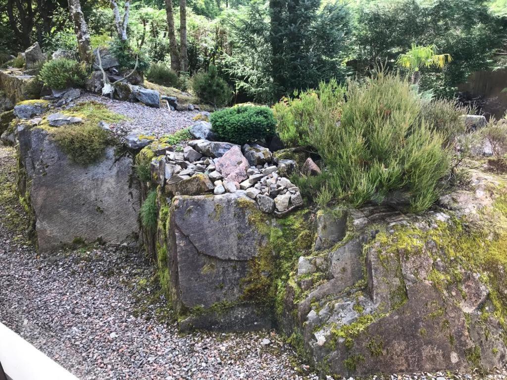 Tom Beag - Ben Nevis View Rooms Fort William Bagian luar foto
