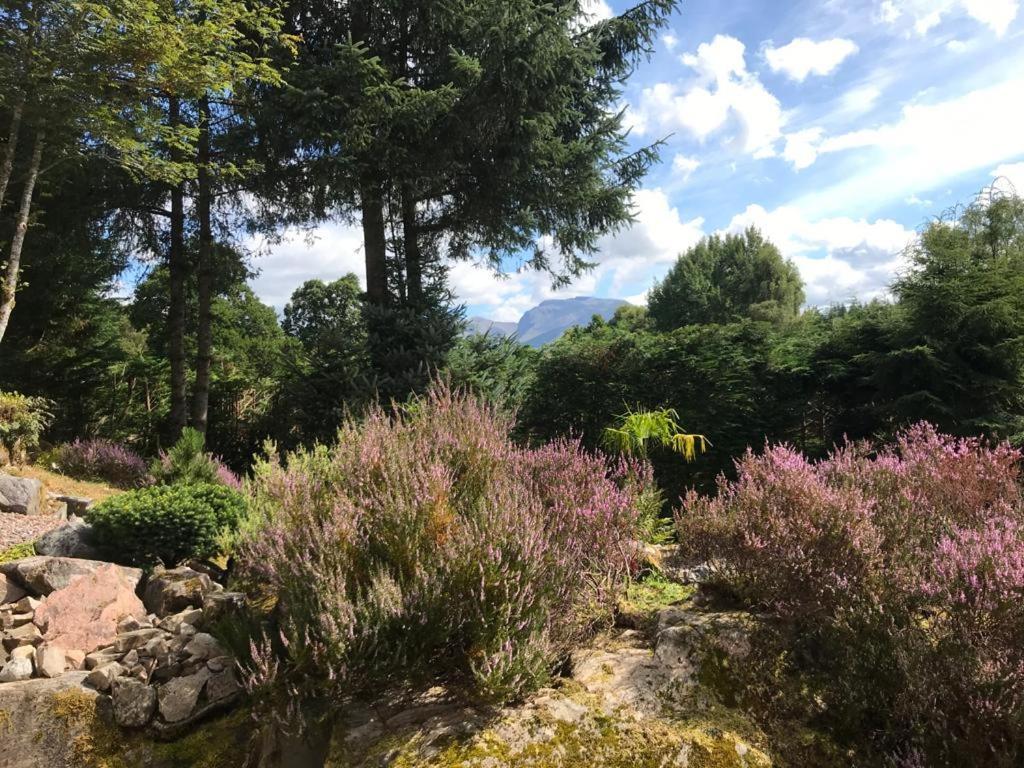 Tom Beag - Ben Nevis View Rooms Fort William Bagian luar foto