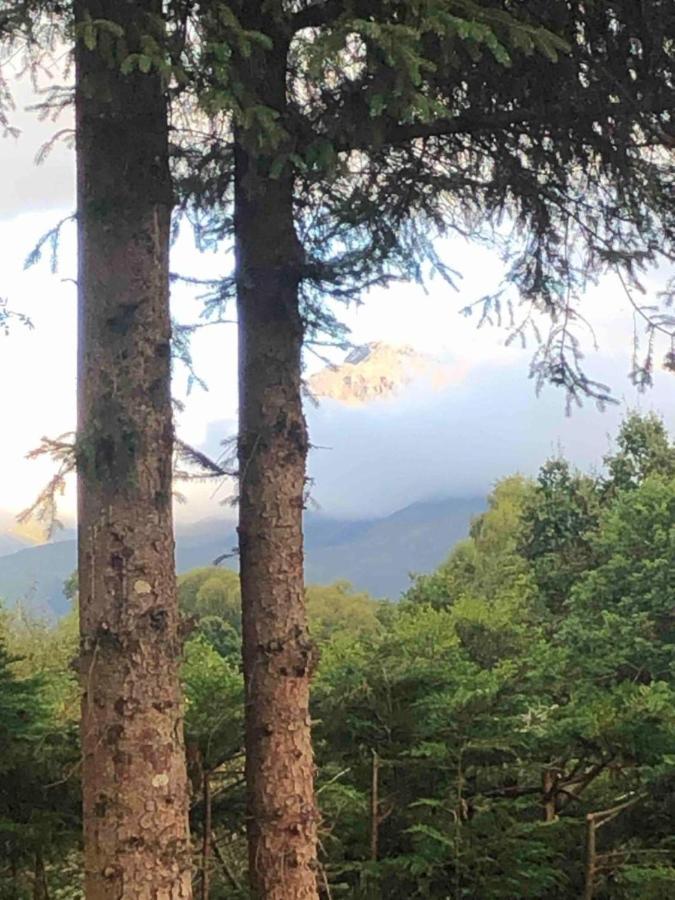 Tom Beag - Ben Nevis View Rooms Fort William Bagian luar foto