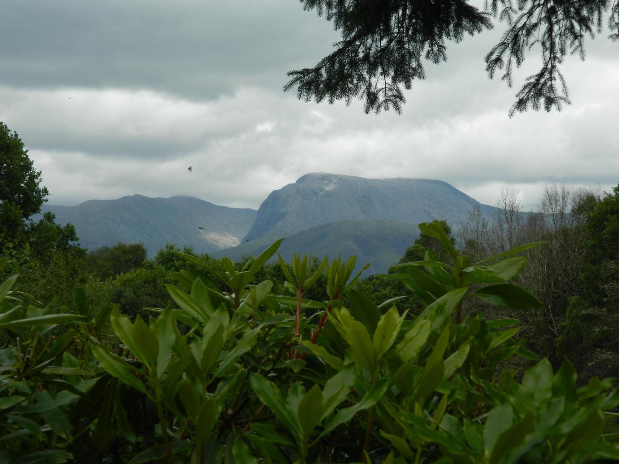 Tom Beag - Ben Nevis View Rooms Fort William Bagian luar foto