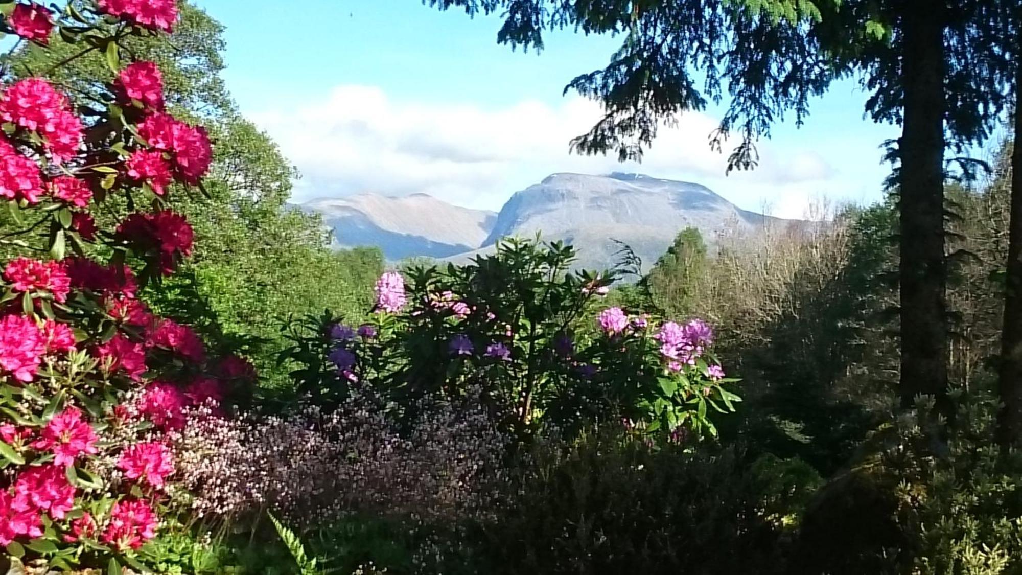Tom Beag - Ben Nevis View Rooms Fort William Bagian luar foto